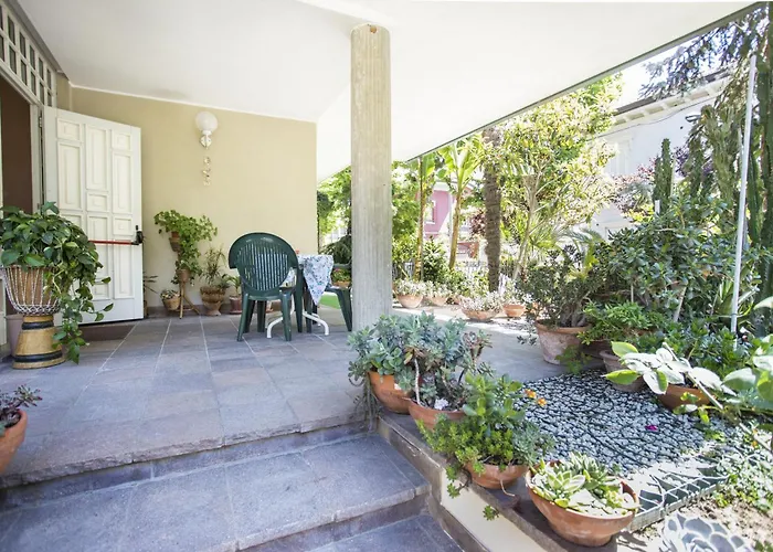 Dipendenza Beb Denny